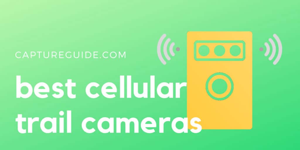 featured image for best cellular trail cameras article
